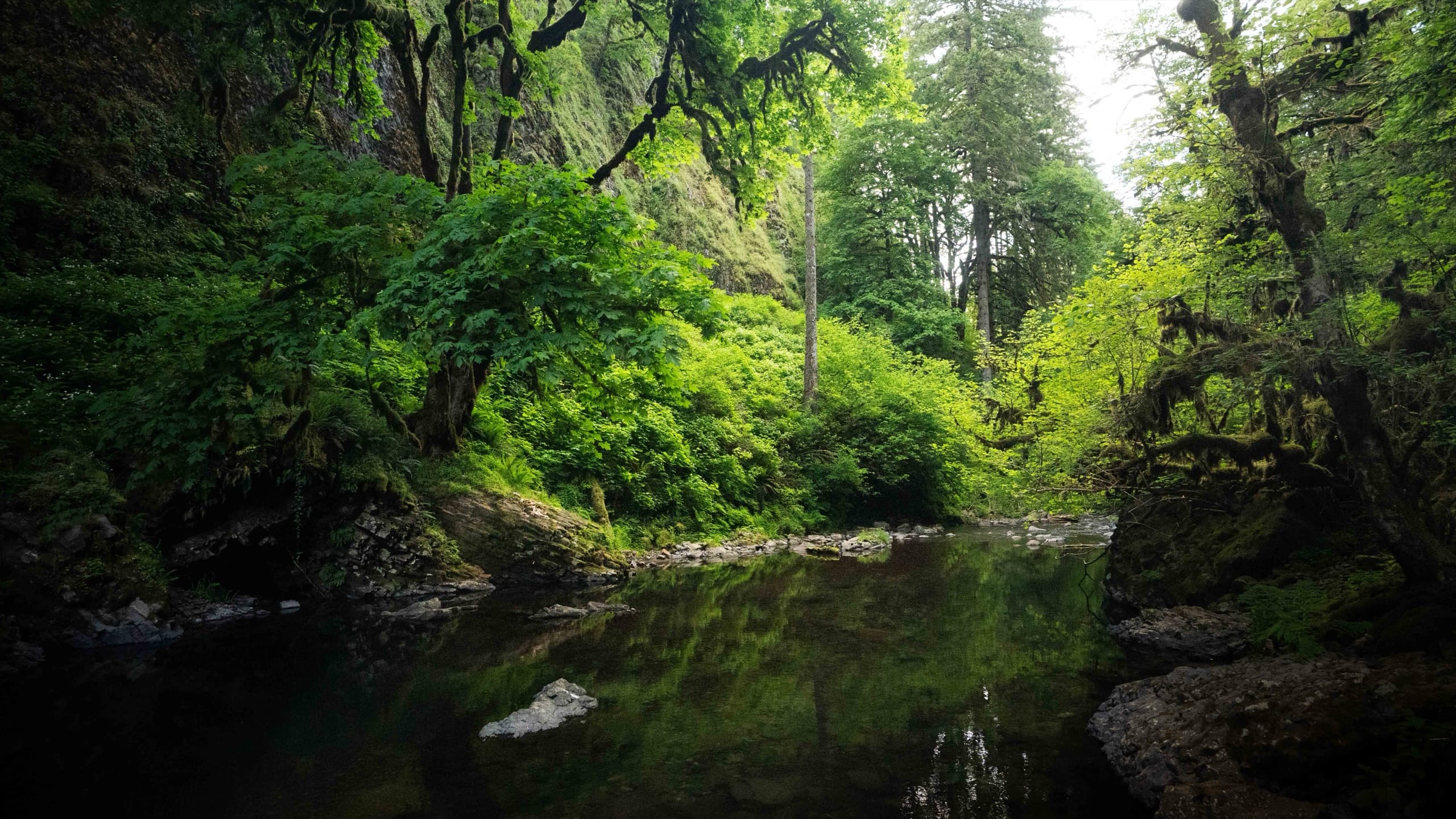 Fotografía de viaje en Abiqua Falls, Oregon