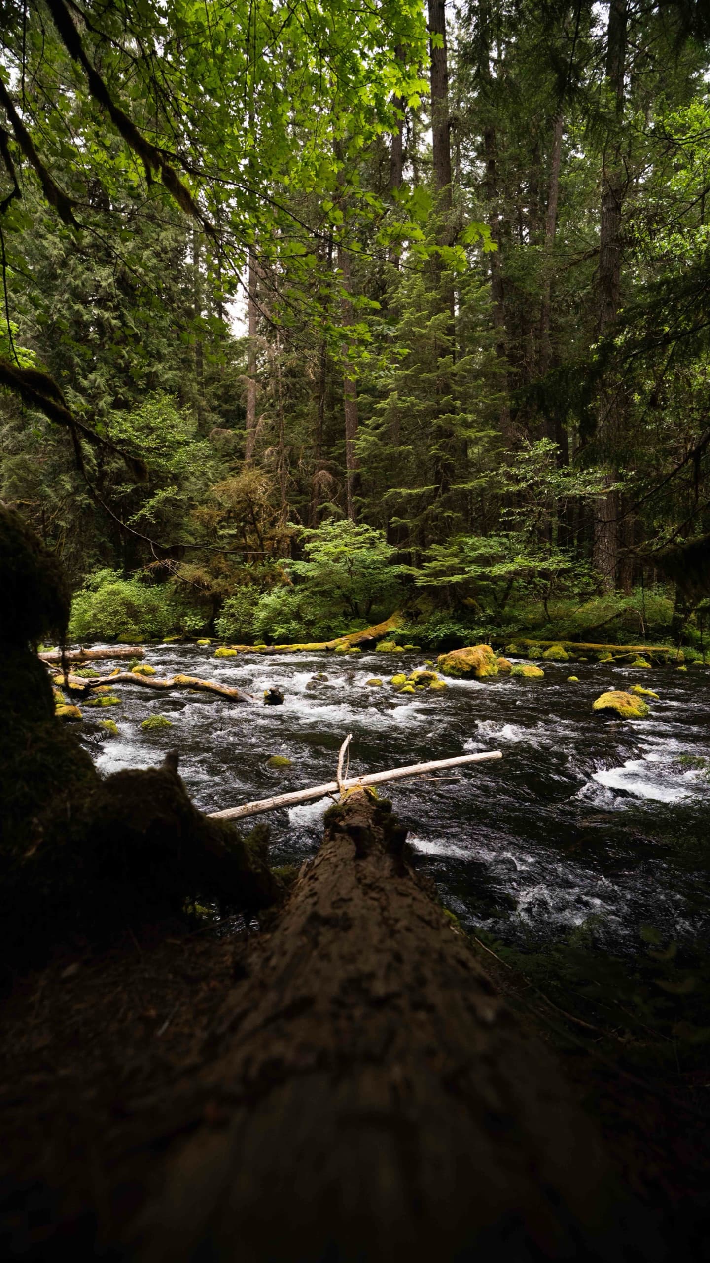 Fotografía de viaje en Blue Pool, Oregon