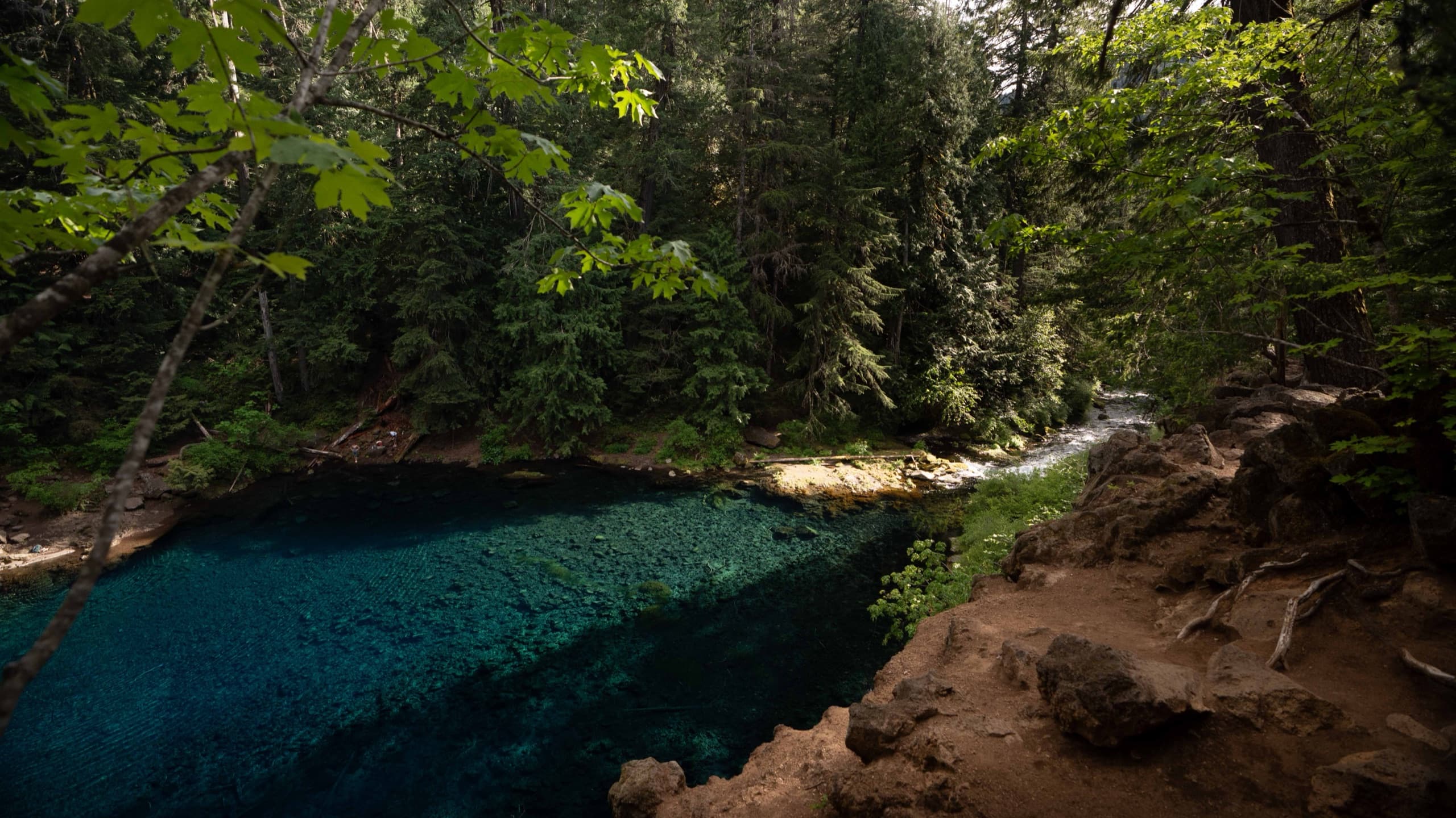 Fotografía de viaje en Blue Pool, Oregon