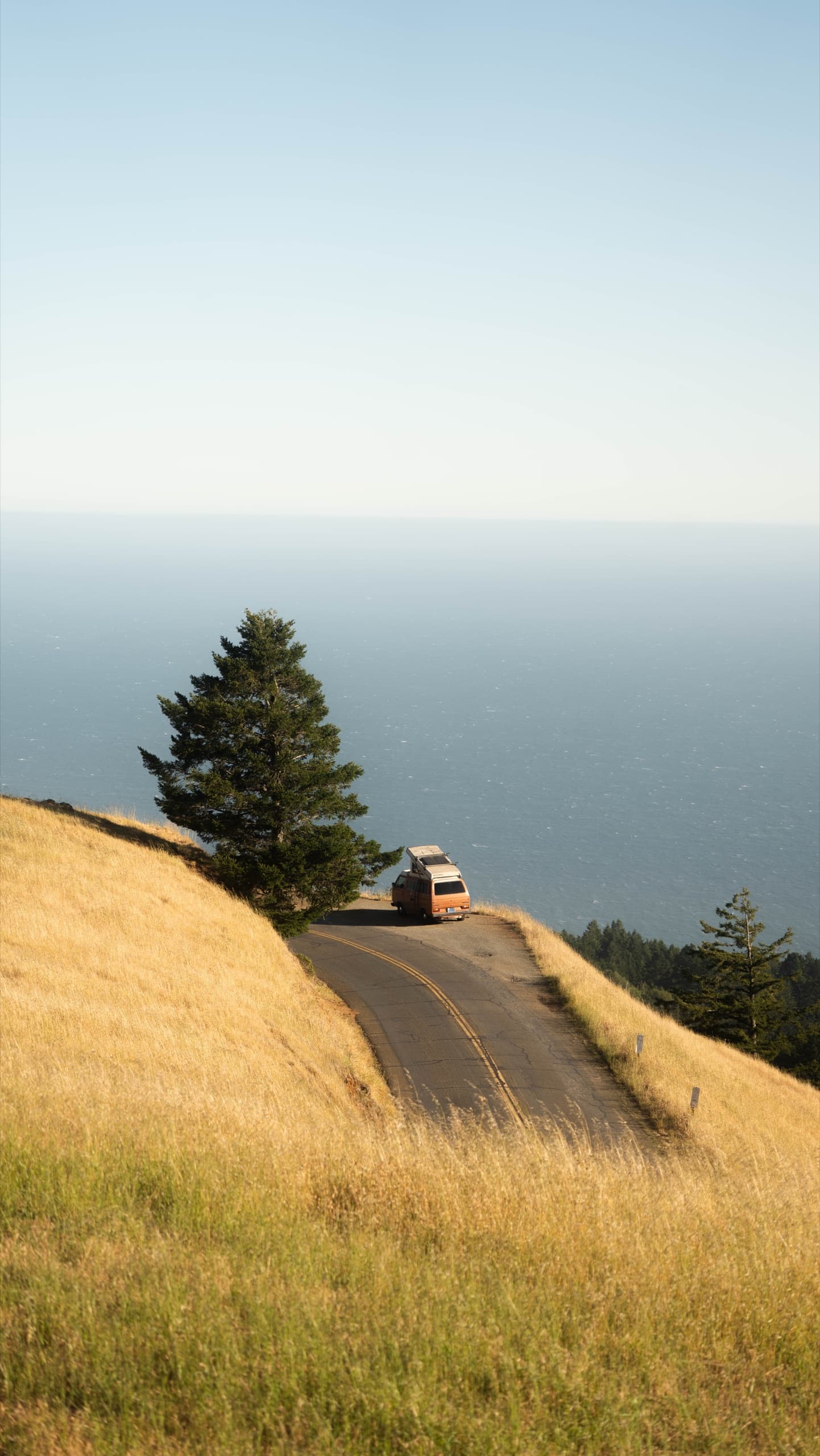 Fotografía de viaje en Mt. Tamalpais, California