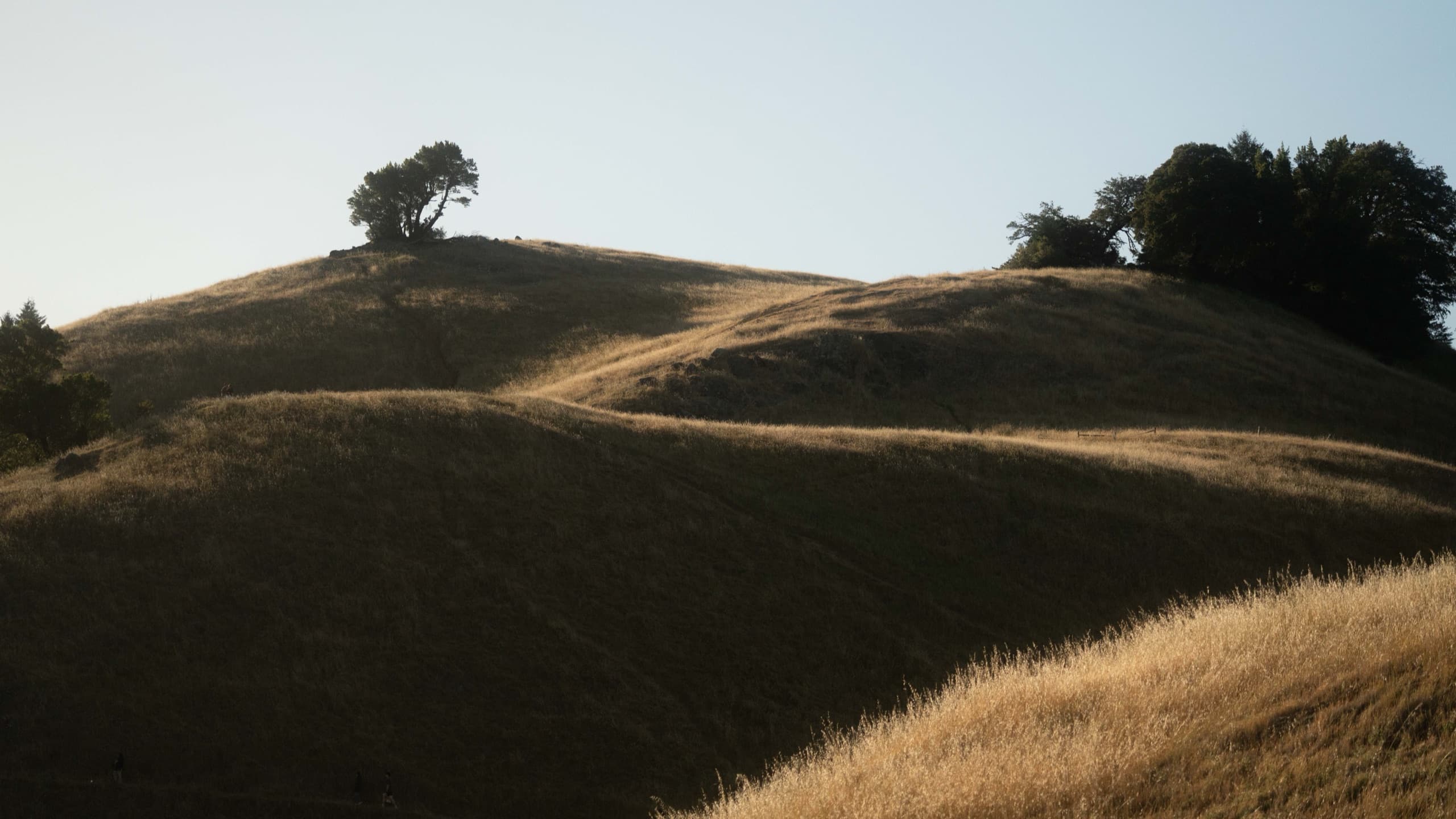 Fotografía de viaje en Mt. Tamalpais, California