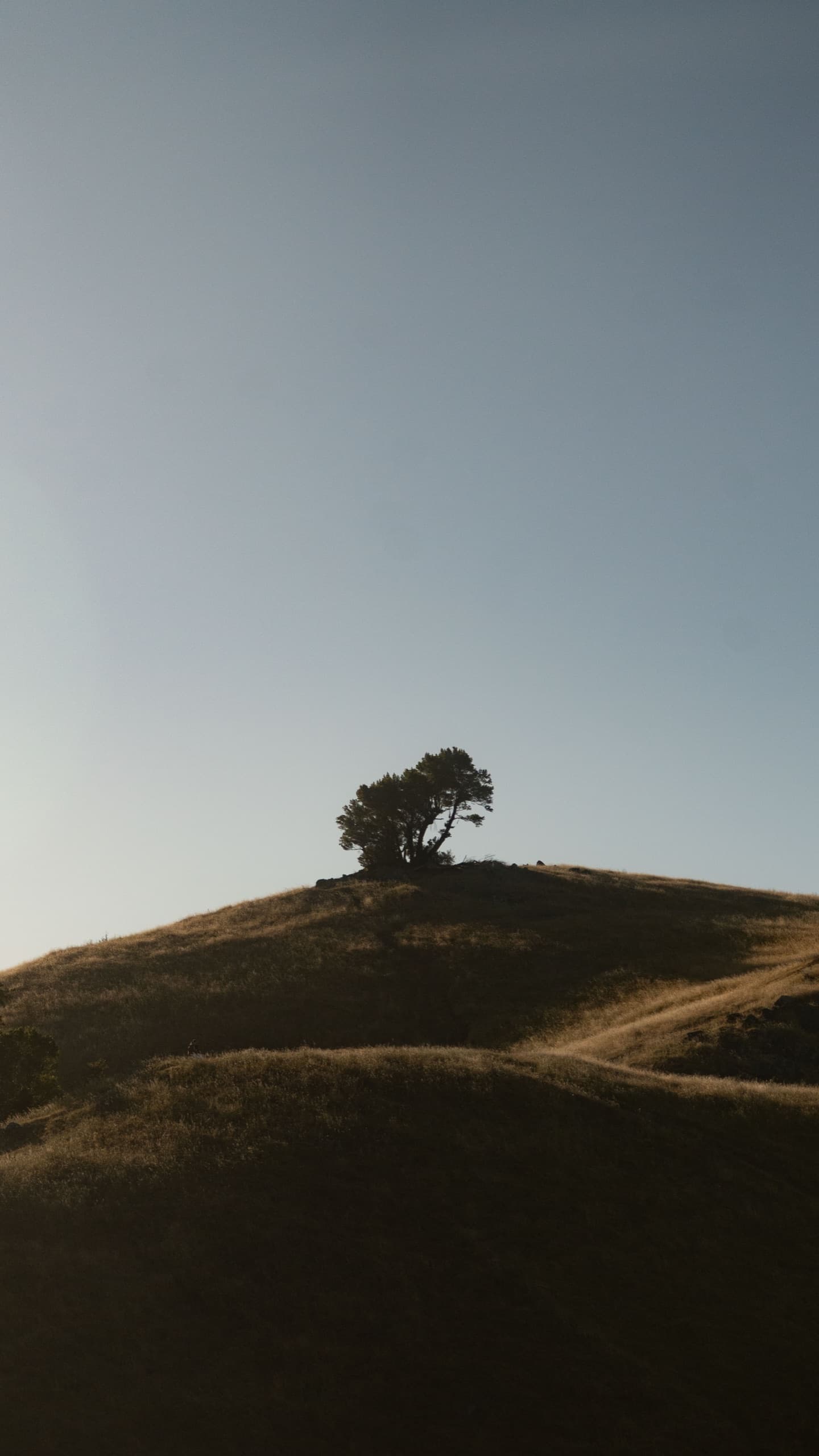 Fotografía de viaje en Mt. Tamalpais, California