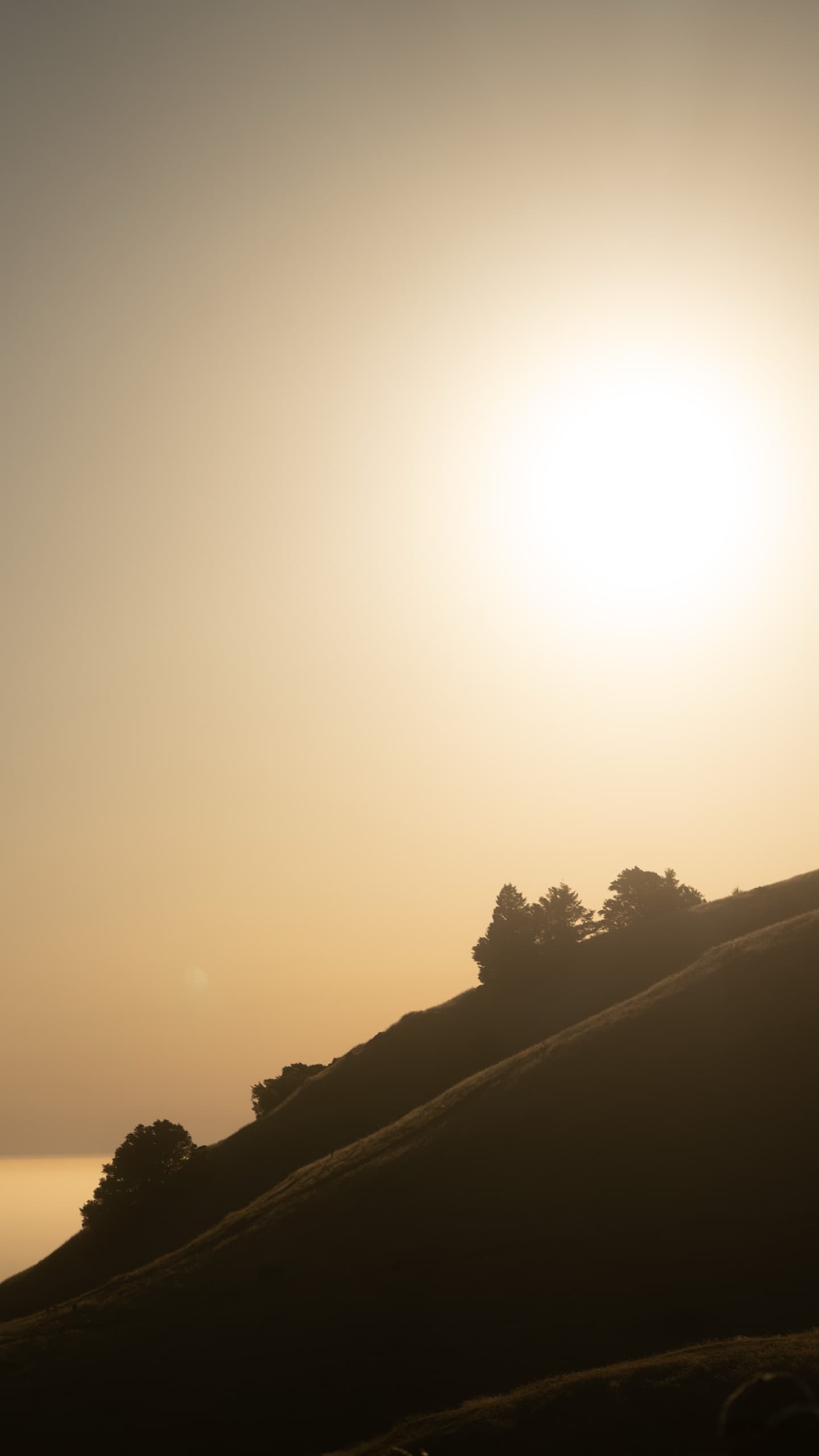 Fotografía de viaje en Mt. Tamalpais, California